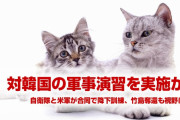 自衛隊と米軍が韓国の侵攻に備えた訓練を実施か！　韓国マスコミが過敏に報道！　竹島奪還も視野に！