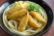 【福岡旅行】おい！福岡のコシなしのやわらかいうどんを食った結果･･･