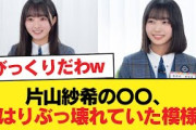 【日向坂46】片山紗希の〇〇、やはりぶっ壊れていた模様…【日向坂46HOUSE】#日向坂46 #日向坂 #日向坂で会いましょう #乃木坂46 #櫻坂46