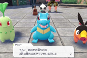 今の『ポケモン』って正直微妙じゃね？
