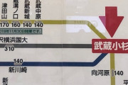 【悲報】JR東日本さん、新駅開業にともない素人には理解不能な謎の運賃を設定してしまう…