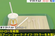 【悲報】マクドナルド、紙ストローになる