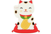 中国で人気の日本の招き猫がどこかおかしい