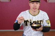 阪神　甲子園の選手コラボグルメに「サトテルのWチキン輝（テリ）ヤキ丼」など新たに8選手の新メニュー