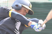 ヤクルトvs阪神戦で近本選手が死球！神宮球場が騒然となる中、岡田監督の表情が怒りに満ち溢れる