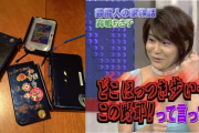 高嶋ちさ子「ゲーム辞めないから子供のDSとwii粉々にしてSNSにアップしたわ」テレビ局「この人面白い　仕事オファーしたろ」