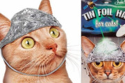【朗報】ネコ用アルミホイル、爆誕ｗｗｗｗｗ