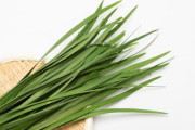 【韮】さあさあみなさん、お待たせしました！『にら』が旬をむかえましたよ！