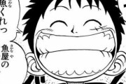 【悲報】ルフィさん、悪魔の実を食った時から自我を乗っ取られていた･･･