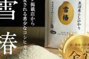 なんj民｢米の味の違いが分からない。｣