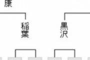 【王将戦 二次予選】糸谷哲郎八段が佐藤康光九段に勝利 王将リーグ7名が決定