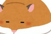 ツイ民｢ハムスターを救うためクラウドファンディングを始めます。目標は50万円｣