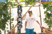『ザ！鉄腕！DASH！！』番組30年初のバニラビーンズ栽培へ 作物が増えて屋上を大改築