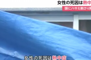 はさみが刺さって死んでいた女性「死因は熱中症」だった