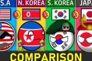 視聴者「この国は好き・嫌い！」日本・アメリカ・韓国・北朝鮮の4か国比較動画