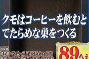 【豆知識】おまいらの知ってる雑学ｗｗｗｗｗ
