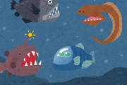 深海魚「海底つまらんすぎてワロタw」→浮上した結果、漁の網にかかりご家庭の食卓に──