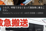 【悲報】人気YouTuberフィッシャーズ、動画撮影で救急車呼んでおいて怒られたら医療従事者に逆ギレ