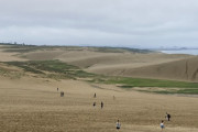 【画像】嫁と岡山と鳥取に旅行してきた(鳥取砂丘で遭難した)