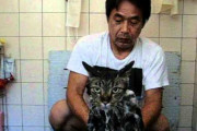 【ねこ動画】シャンプータイム！、地震とねこ