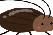 【悲報】ゴキブリとかいうとてつもない歴史を持ったやつらｗｗｗｗ