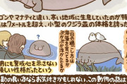 神「絶滅した動物を一種族だけ蘇らせてやろう」