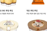 韓国人「日本行ったら絶対食うべきプリンがこれや🍮」