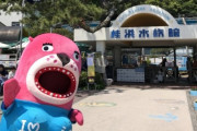 【画像】フェミさん「いやああぁぁ！水族館がめちゃくちゃキモいことしてるうううっ！！」