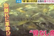 魚離れに大革命！ 丸ごとガブリ「骨なし魚」研究進む「骨を取るのが面倒くさい」を解決 子供の健康促進へ