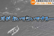 【画像】ヤバい川が見つかる