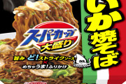 【朗報】エースコックの大盛いか焼きそばが復活！！