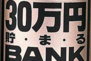 ギャンブルで30万円手に入った(*´∀`)♪