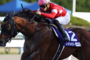 【競馬】　レッドルゼル、川田騎手不在のため横山典騎手との新コンビでJBCスプリントへ