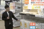 ニトリが韓国に初出店。記者「日本より高いです」韓国人「どれも安くて良いですね」