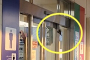【動画】自動ドアの仕組みを理解した富山のツバメが賢い。