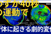 短時間で効率的に筋力アップ：週1〜2回の40秒トレーニングの驚きの効果