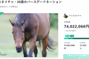 35歳ナイスネイチャ　引退馬支援の寄付金は約7400万円に！最高額大幅更新　協会代表「驚くべき結果」