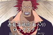 【悲報】ワンピース世界人気キャラ投票、明らかにおかしい奴が上位に浮上ｗｗｗｗ