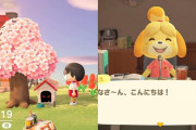 【あつ森】インサイド「二足歩行できる犬と普通の犬が居るのはおかしい」
