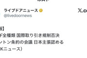 【速報】世界、日本🇯🇵に無条件降伏！！！ヨーロッパのうなぎ殲滅へ