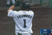 ロッテ藤原恭大(19) .105 0本 2打点 OPS.211