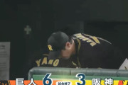 【悲報】阪神さんの対巨人成績(08-19)113勝161敗13分