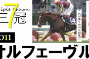 2011年菊花賞　1着オルフェーヴル2着ウインバリアシオン3着京都専用機トーセンラー