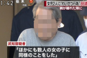 【画像】女児2人にスケベした男、逮捕時の顔もスケベ