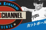 「川上憲伸カットボールチャンネル」みたいに「○○(野球選手名)△△チャンネル」を作るとしたらｗｗｗ