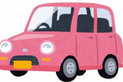 【衝撃】新車の香りは『発がん性物質』の香り！？ 1日20分嗅ぐだけで法的に定められた量を超える研究結果が出る！