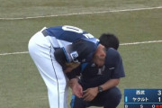 西武榎田が左母指を骨折　齊藤大将がトミージョン手術