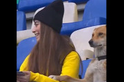 ◆驚愕◆南米で大人しく観客席でサッカーを観戦する飼い犬登場?