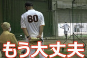 巨人・丸の復調の要因は長嶋さんの指導のおかげ！← これ…