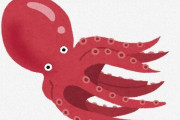 【悲報】タコの繁殖方法がこれｗｗｗｗｗｗｗｗ